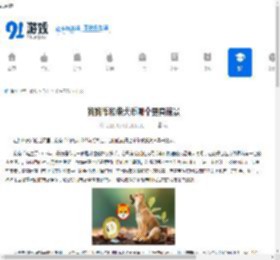 狗狗币和柴犬币哪个更具前景-狗狗币与柴犬币谁的前景更好 - 91手游网